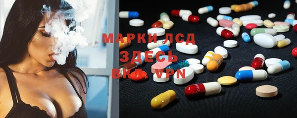 PSILOCYBIN Алзамай