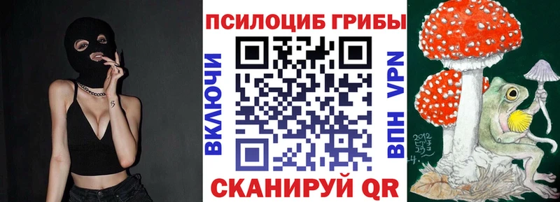 цена   Белёв  Псилоцибиновые грибы прущие грибы 